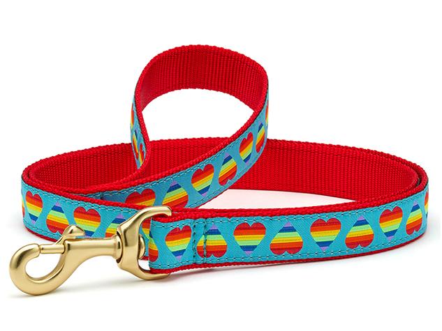 Dog Collars: 1